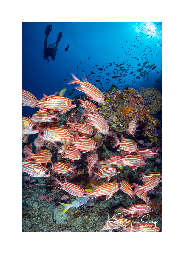 Similan Island, Thailand - Richelieu Rock