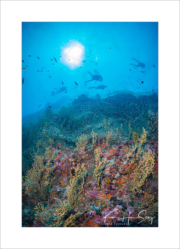 Similan Island, Thailand - Richelieu Rock