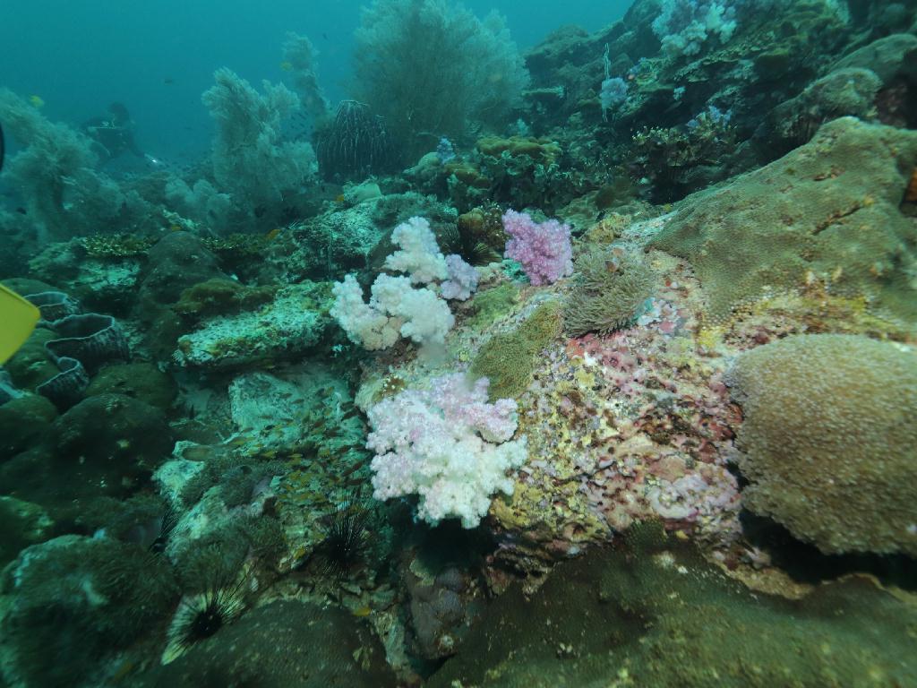 South Andaman, Thailand - Hin Muang
