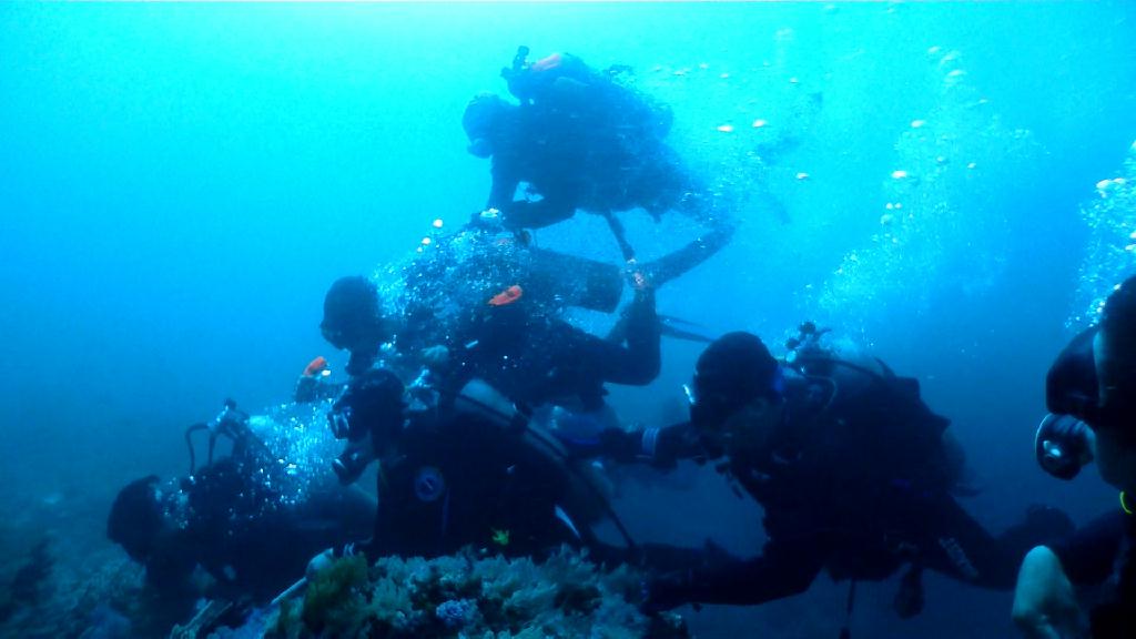 Canyons 조류체험 - Sabang Blue Water Dive Resort - Canyons