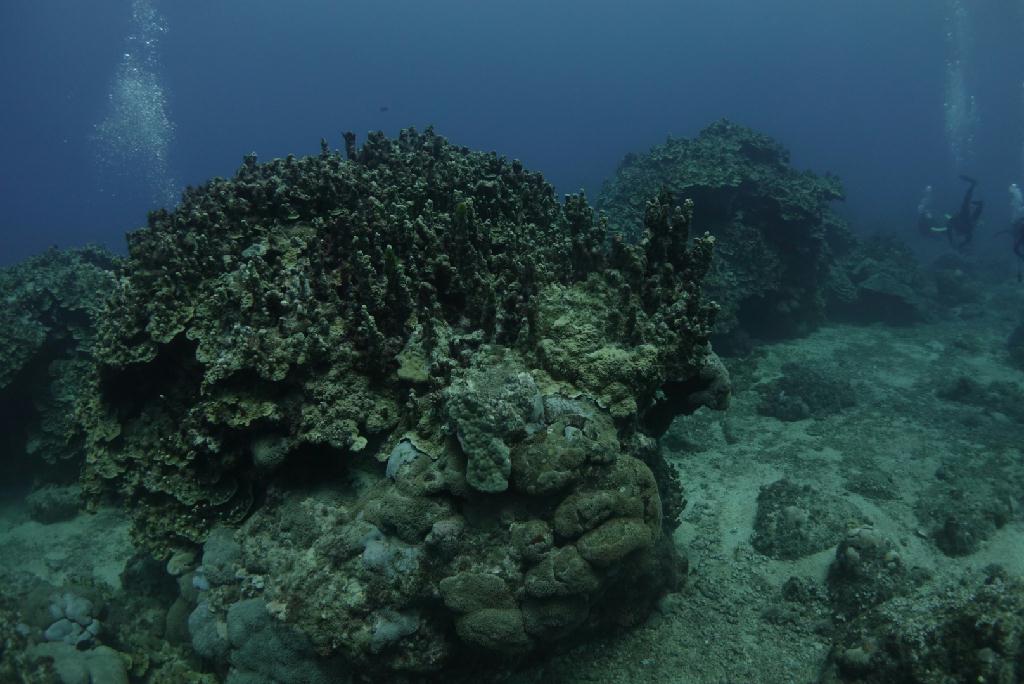 펀다이빙 - 사이판 - 아쿠아다이브 - 라루라우비치 우안