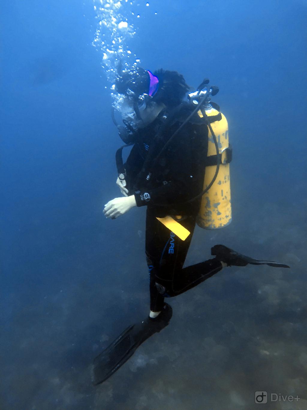 Coral - Tenggol Island, Terengganu  - Sri Mahkota 