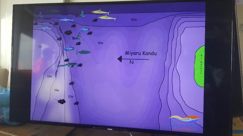 펀다이빙 - Maldives - Miyaru kandu