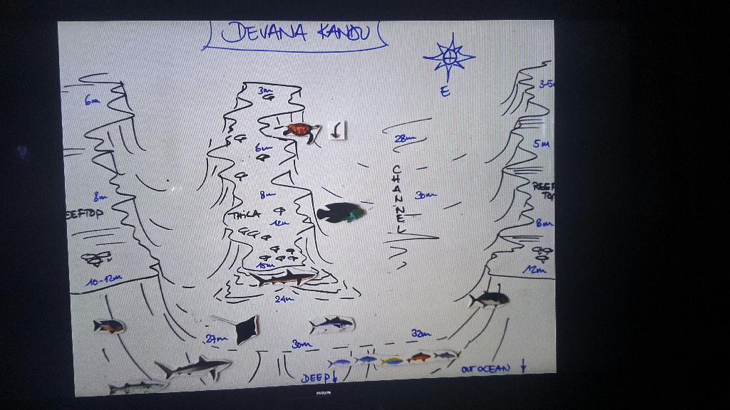 펀다이빙 - Maldives - Dhevana Kandu