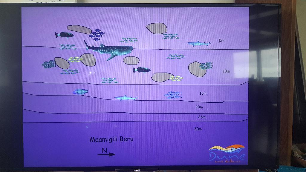 펀다이빙 - Maldives - Maamigili Beyru