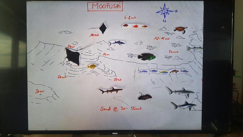 펀다이빙 - Maldives - Moofushi kandu