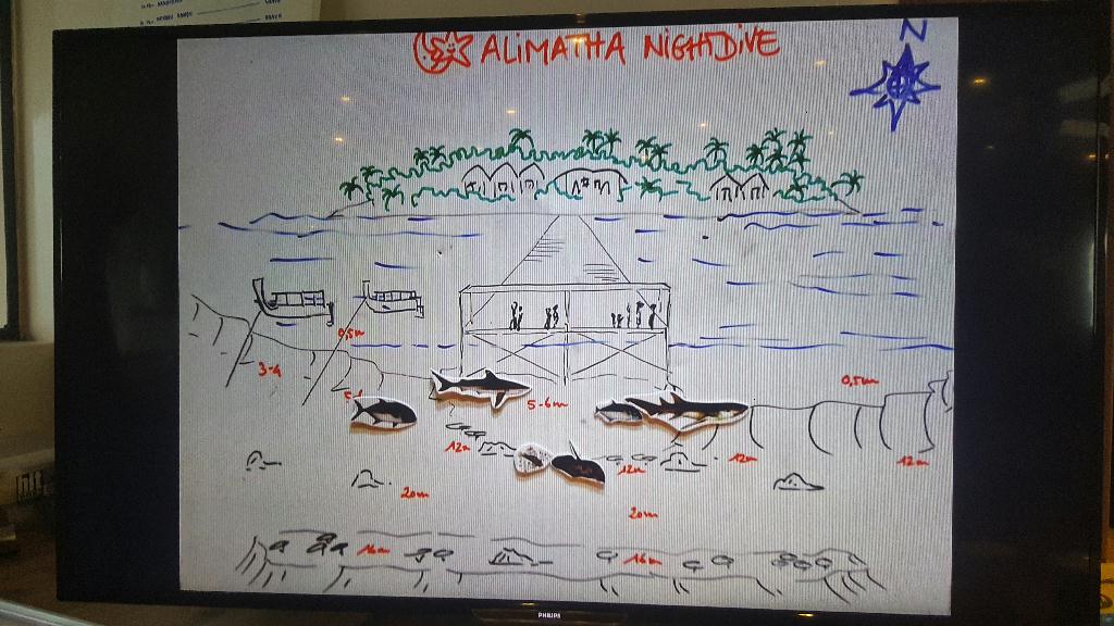 펀다이빙 - Maldives - Alimatha H.R Night diving