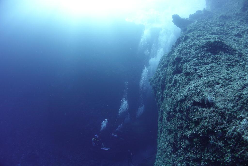 펀다이빙 - 사이판 - 아쿠아다이브 - 플레밍