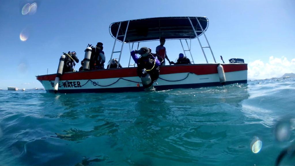 피딩하는 포인트 - Sabang Blue Water Dive Resort - Sabang Wreck