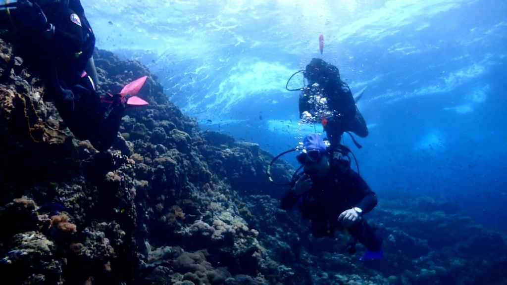 베르데 조류 즐기기 - Sabang Blue Water Dive Resort - Verde wall