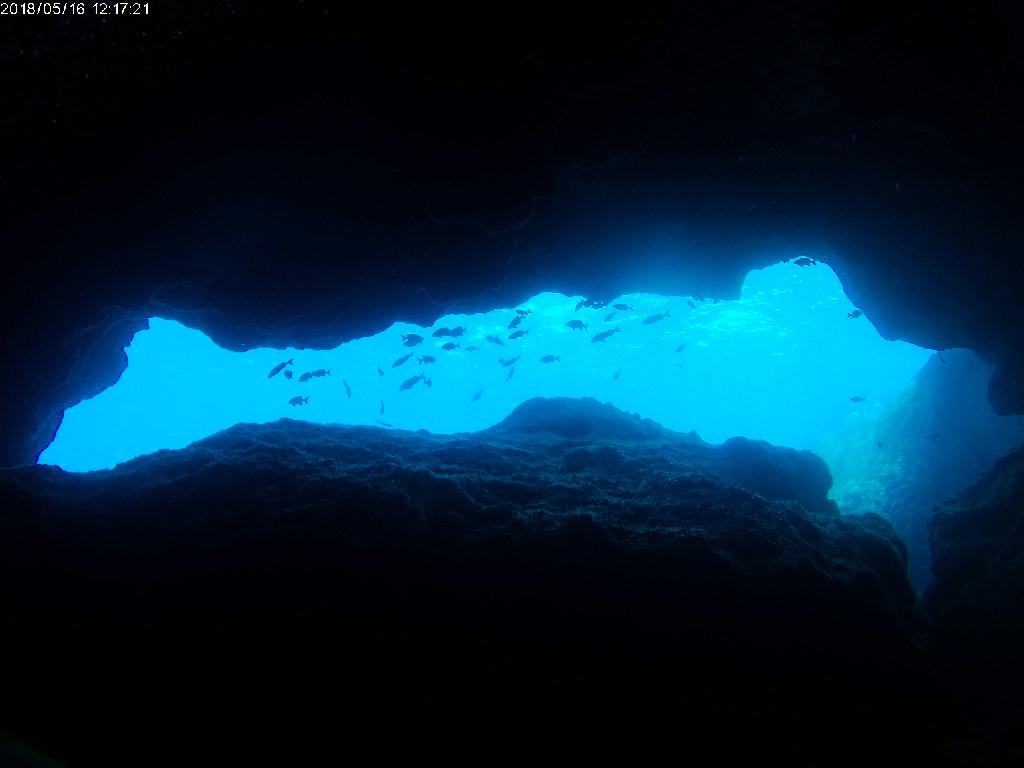 펀다이빙 - 사이판 - 그로토