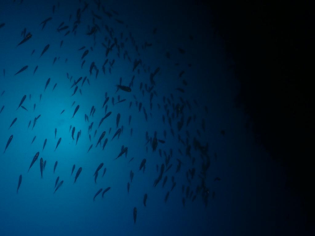 문섬한개창 - 서쪽