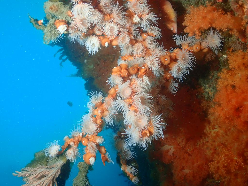 문섬한개창 - 서쪽