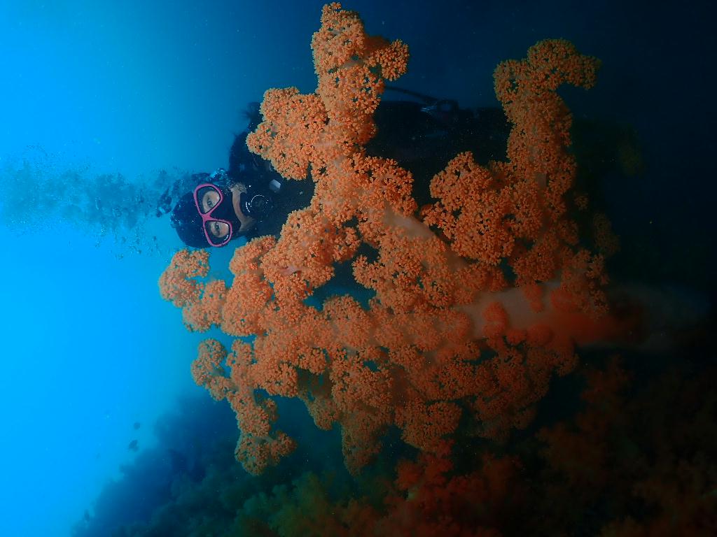 문섬한개창 - 서쪽