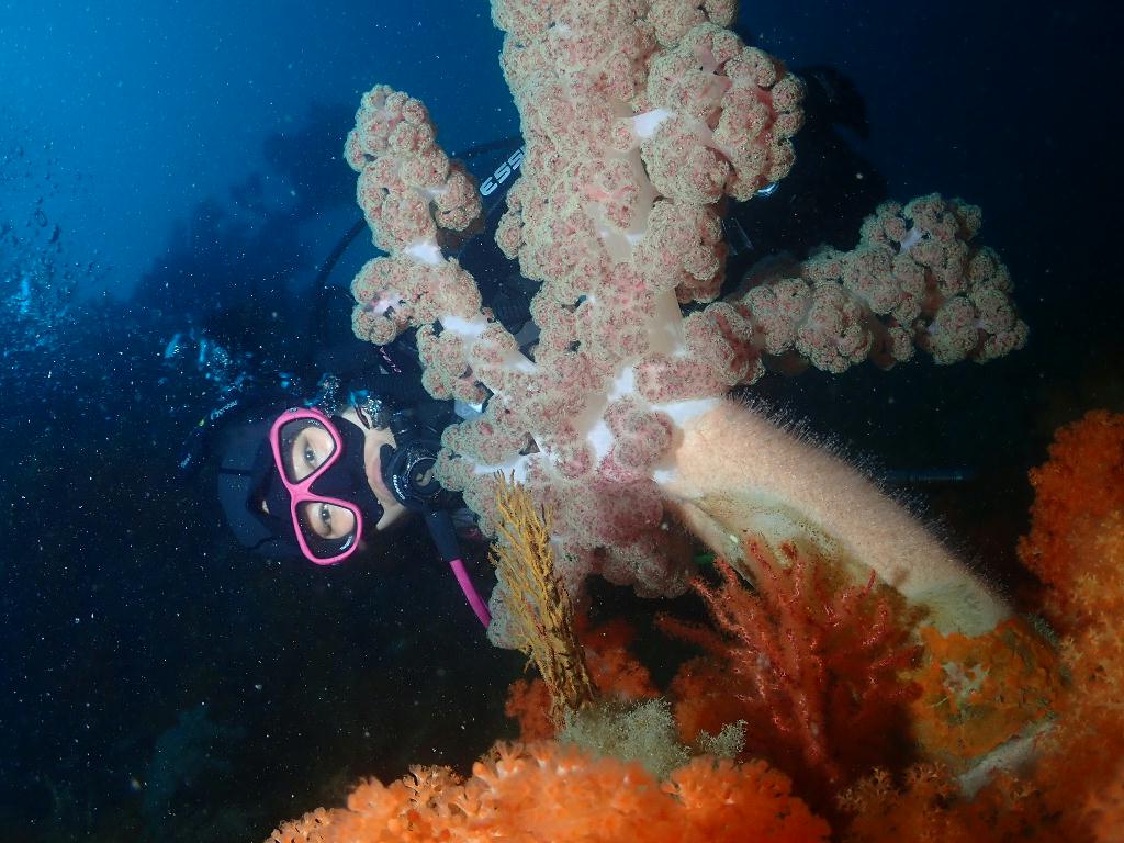 문섬한개창 - 서쪽