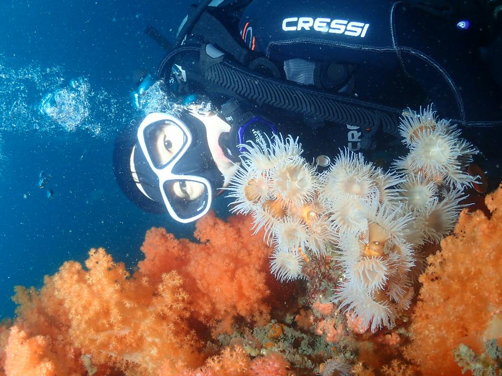 문섬한개창 - 서쪽