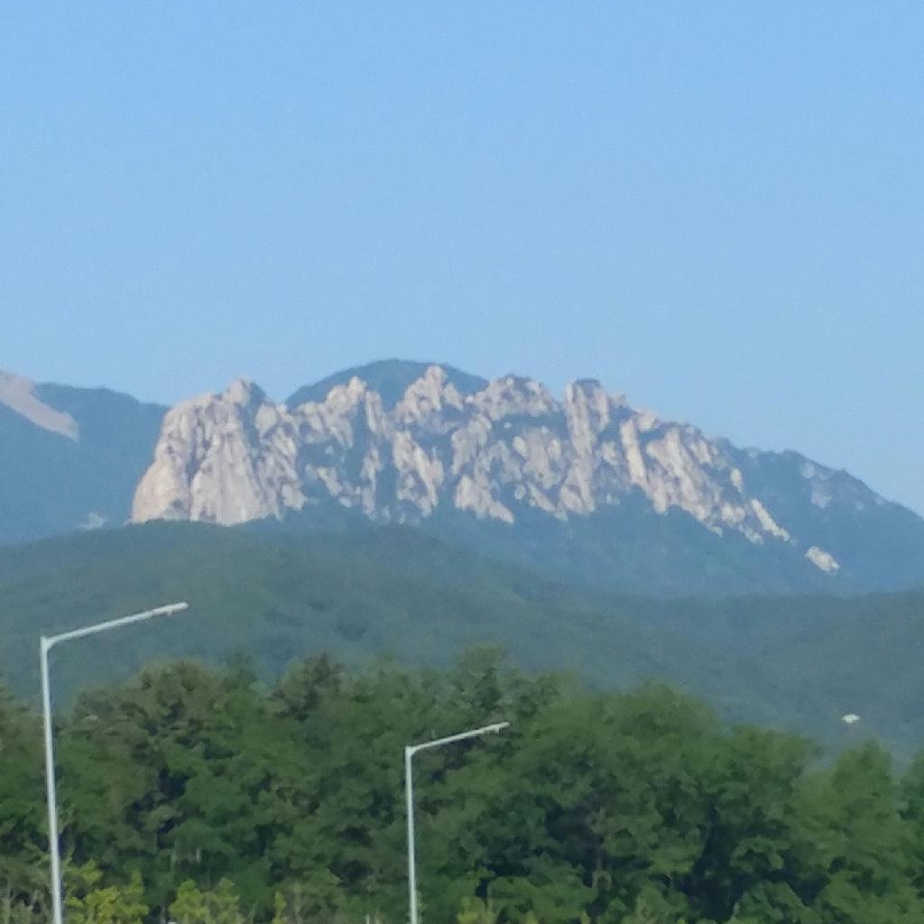 자가 장비로 첫 다이빙 - 고성 OK다이브리조트 - 오아시스