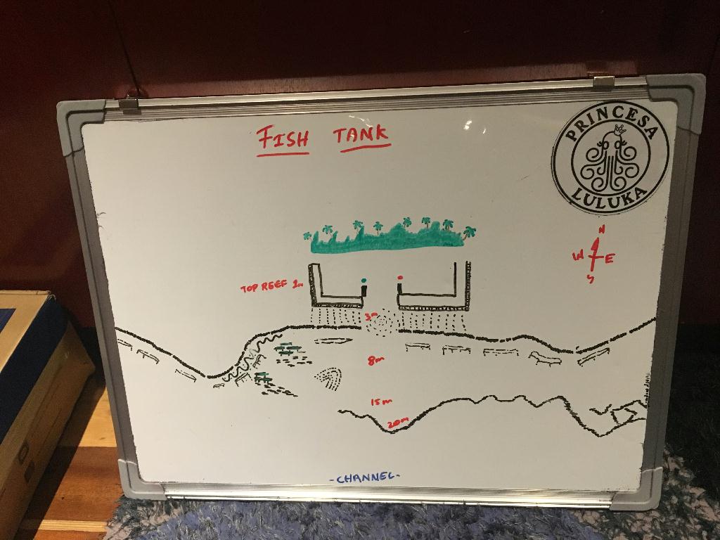 몰디브 - Fish tank
