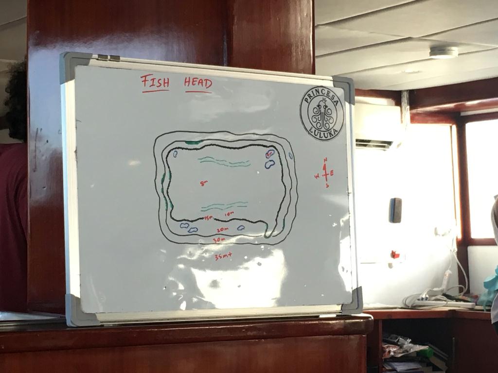 몰디브 - Fish head