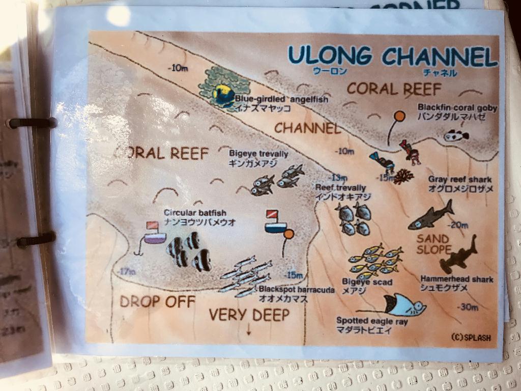 펀다이빙 - 팔라우 - Ulong Channel