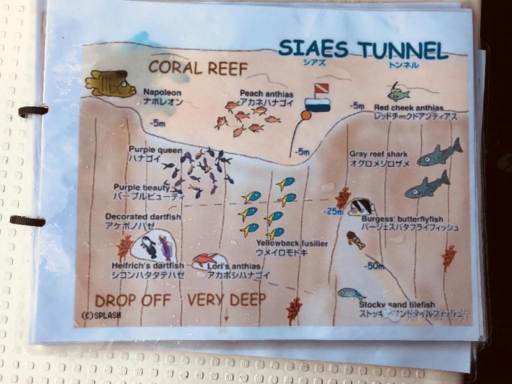 펀다이빙 - 팔라우 - Siaes Tunnel