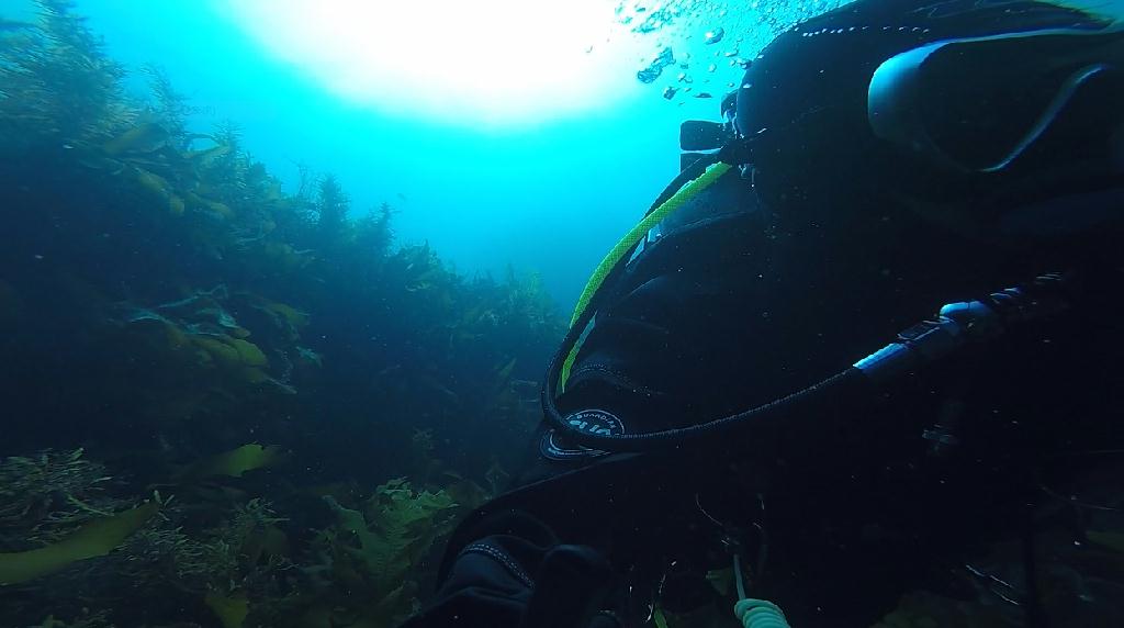 바다로 밴드 모임. - 제주 문섬 새끼섬. - 남벽방향