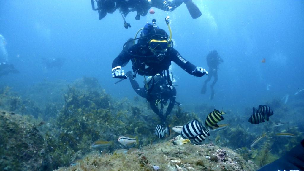 울릉도 3rd - 울릉도 아쿠아캠프 리조트  - 관음도 평바위 포인트 