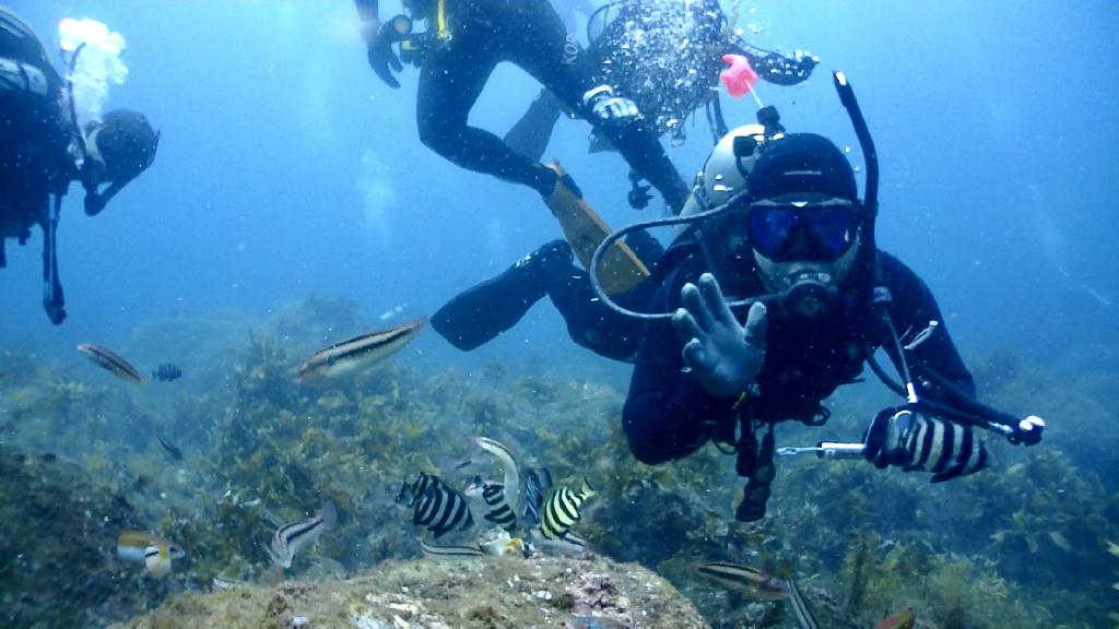울릉도 3rd - 울릉도 아쿠아캠프 리조트  - 관음도 평바위 포인트 