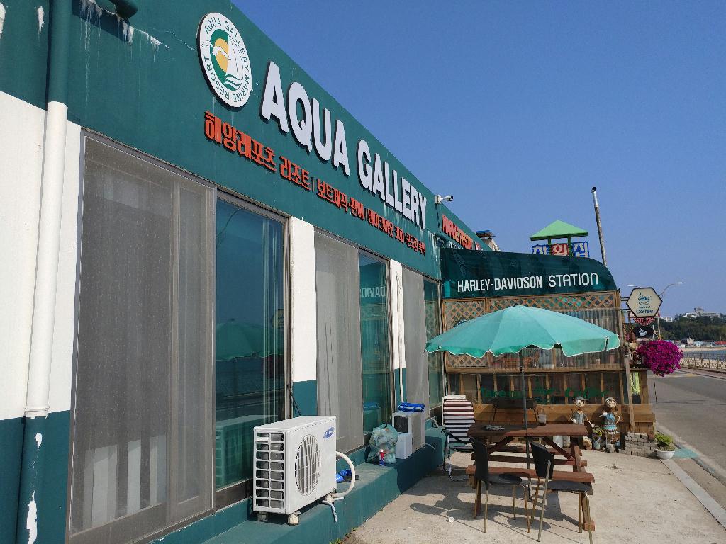 남애항 새로운 포인트에서 다이빙 - 남애항 아쿠아갤러리 - 화아트 락