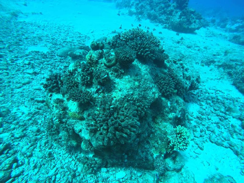 펀다이빙 - 사이판 - 라우라우비치