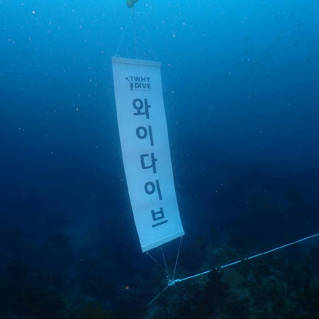 수중 작업 - 제주도 굿다이버 - 섶섬