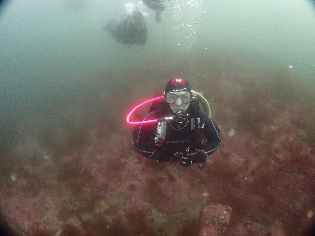 개해제 첫투어 - 강원도 고성 OK다이브리조트 - 빅 캐슬