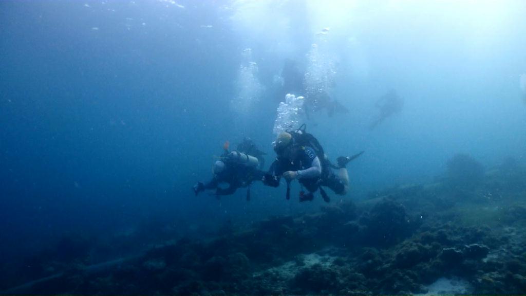 세부 투어 - Cebu CNC Dive Resort - Plantation Beach