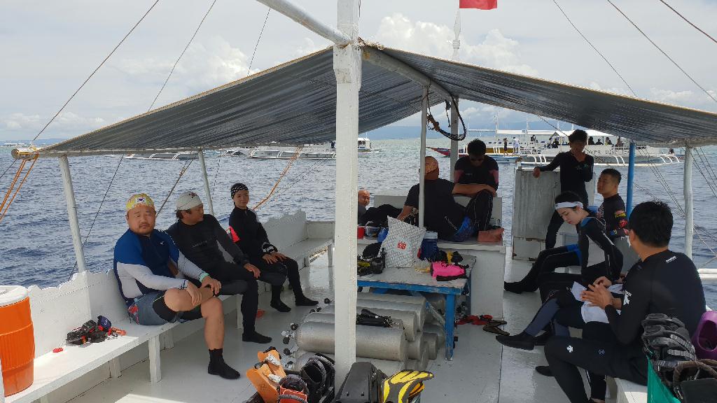 Nalusuan 포인트 - Cebu CNC Dive Resort - Nalusuan 산호