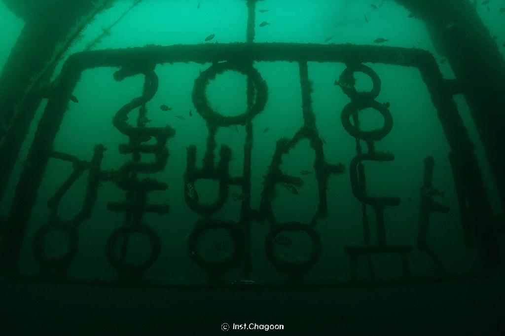 펀다이빙, 난파선 - 양양 인투더씨 - 난파선