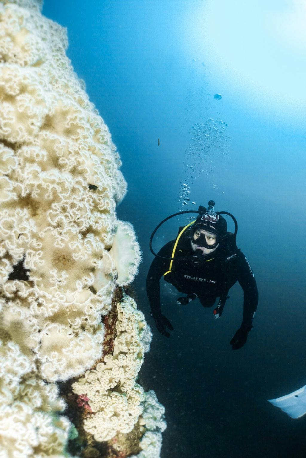 OW 교육 - 강원도 고성 문암리조트 - 금강산