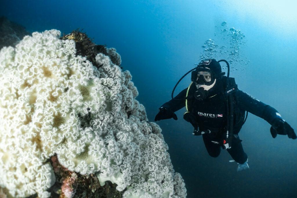 OW 교육 - 강원도 고성 문암리조트 - 금강산