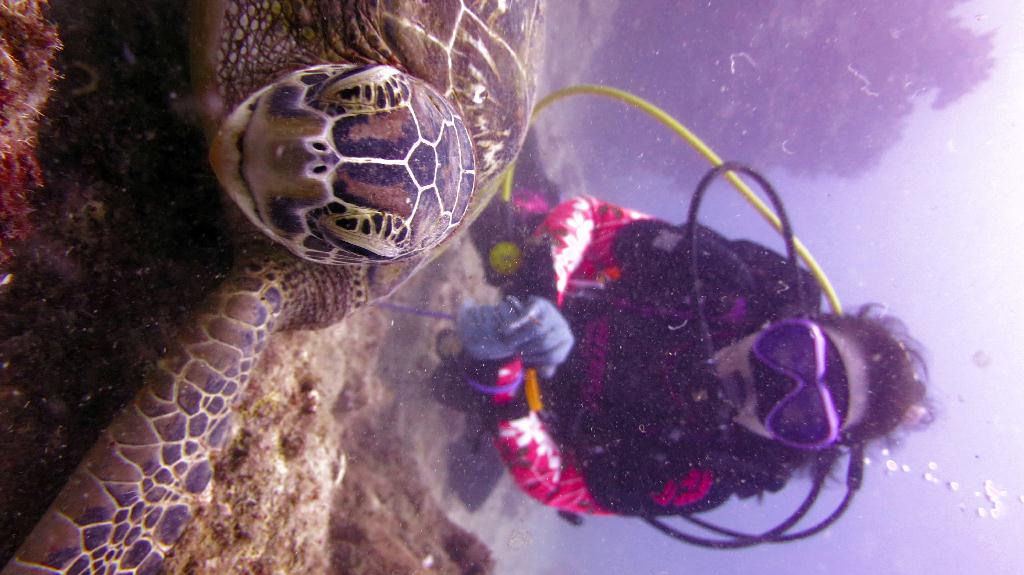 Saipan - Lau Lau (right side)