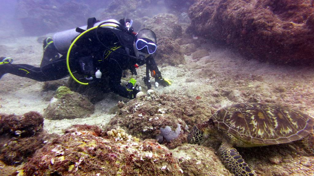 Saipan - Lau Lau (right side)