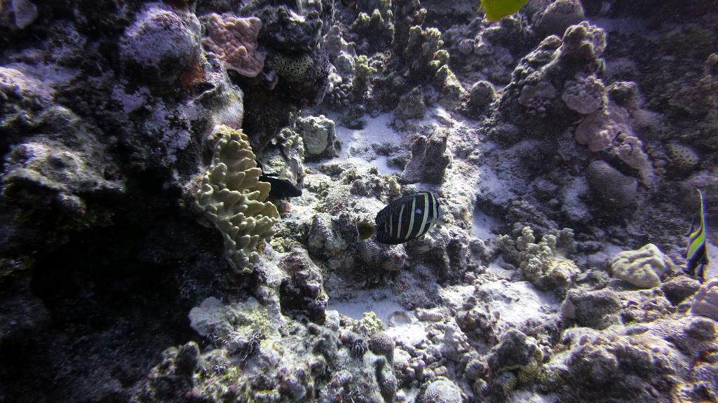 Saipan - Naftan Point