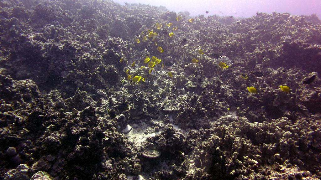 Saipan - Naftan Point