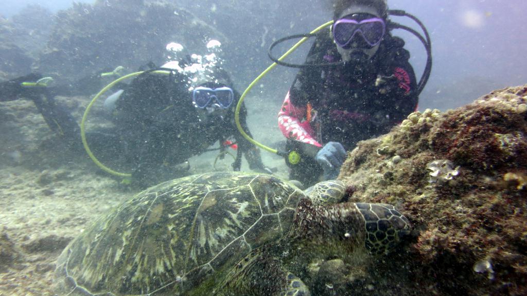 Saipan - Lau Lau (right side)