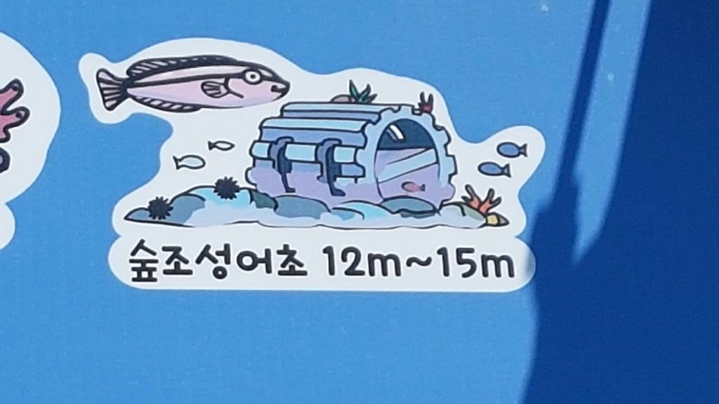 양양 버블탱크 - 숲조성어초