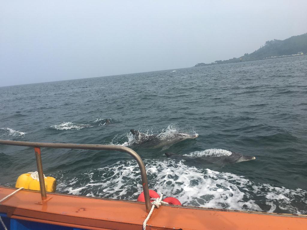 제주 금능 수중산책 - 안빈낙도