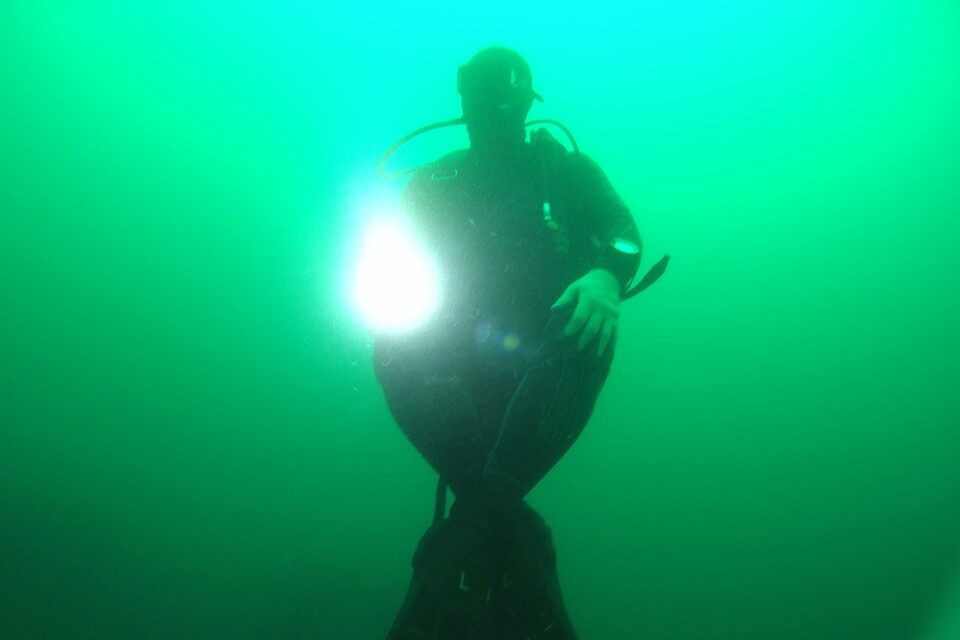 ok다이브리조트 - 노랑대