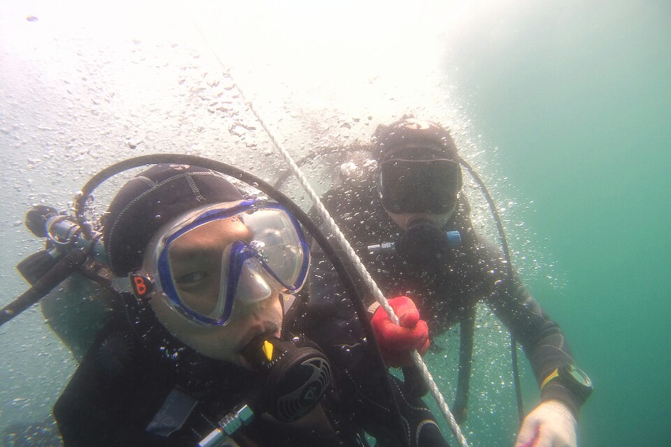 ok다이브리조트 - 노랑대