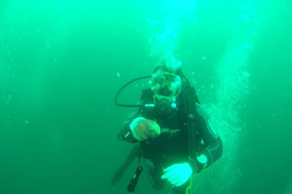 ok다이브리조트 - 노랑대