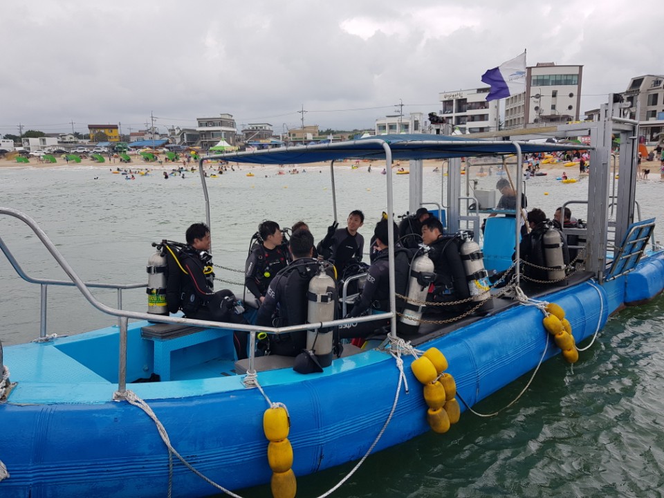 어드밴스 교육 - 고성,ok다이브 - 노량진