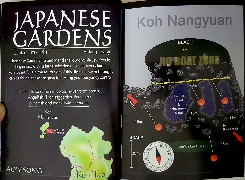 fun - KOH TAO in 태국_AsiaDivers - Japanese Gardens