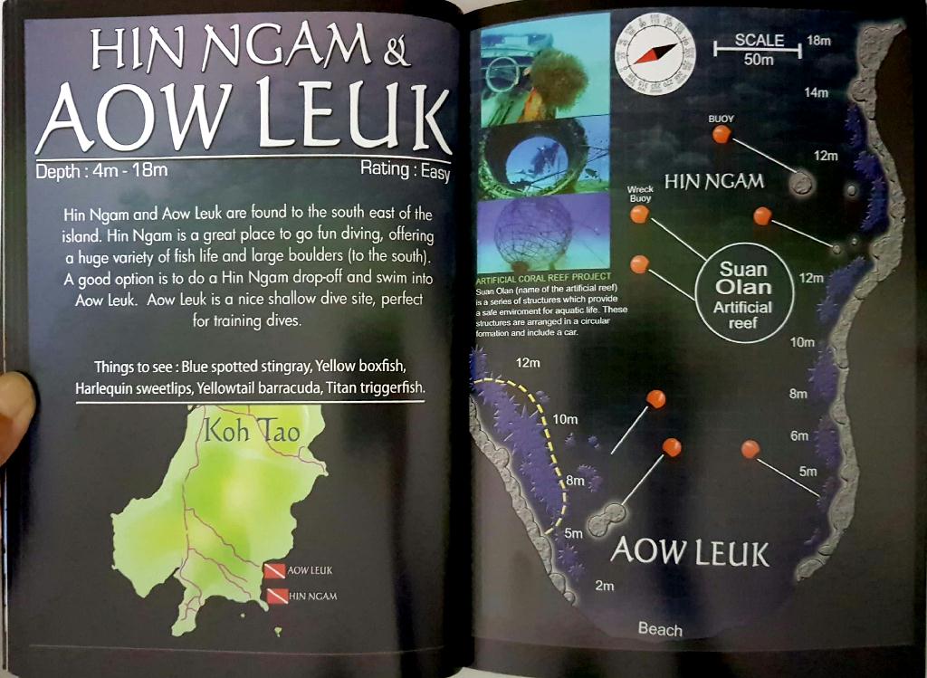 fun - KOH TAO in 태국_AsiaDivers - Hin Ngam